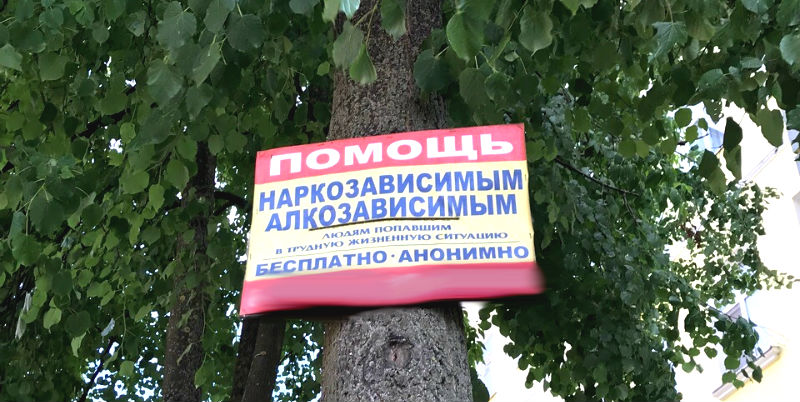 Незаконная реклама на деревьях. Объявление на дереве. Рыбинские объявления