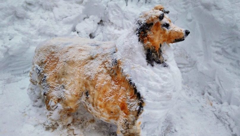 Собаководы Рыбинска создали снежные скульптуры