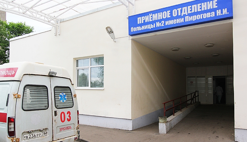 Пироговке в Рыбинске срочно требуются волонтеры
