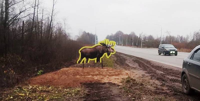 Фигура лося появилась на трассе Рыбинск-Ярославль