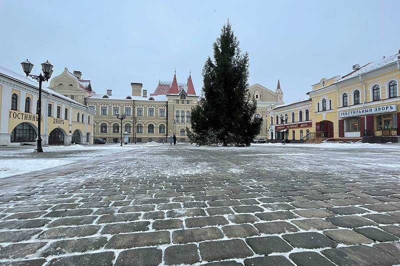 В Рыбинске ищут елки на Новый год