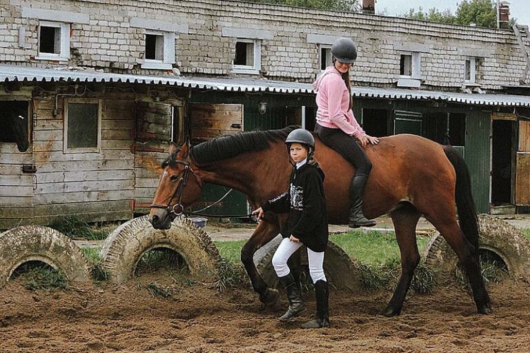 Конный спорт здоровье