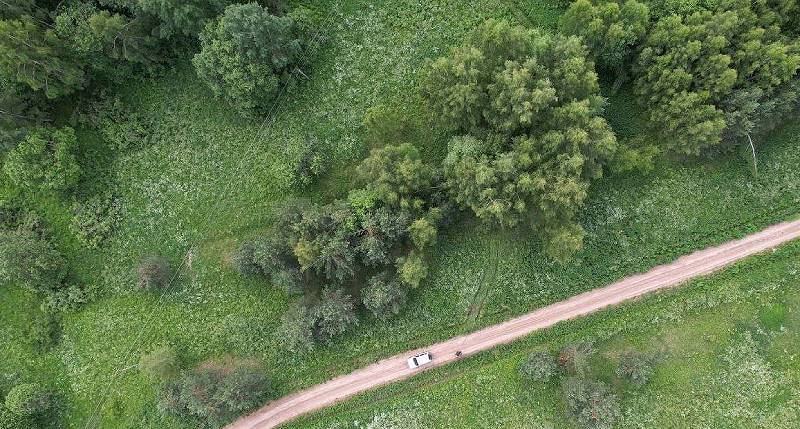 Площадь лесных пожаров в Ярославской области сократили на 20 процентов