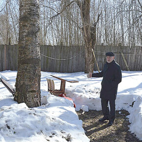 бабуркин психушка