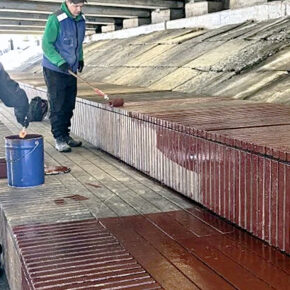 бульварная скейт площадка дэс