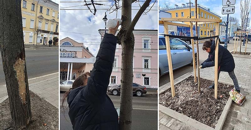 деревья уход вар дэс