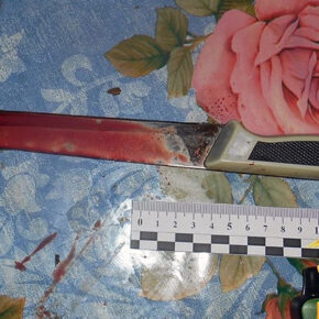 нож чебышева