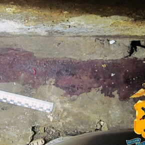 убийство софьи перовской