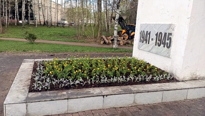 цветы вов