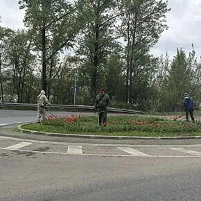 покос