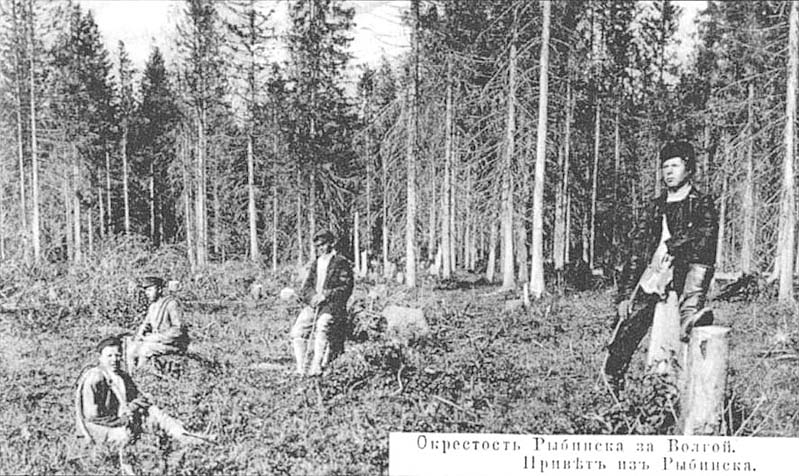 Село Александровское и деревня Ёрш, почтовая открытка начала 20 века