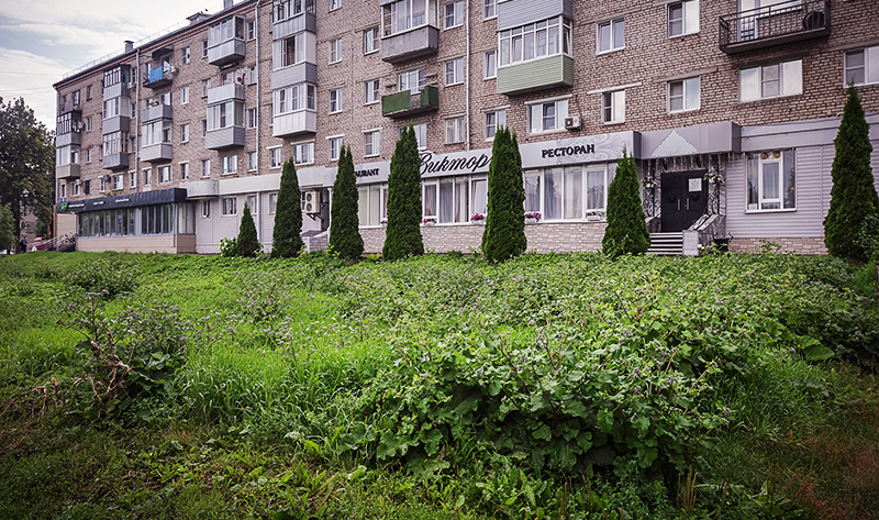 репей полиграф