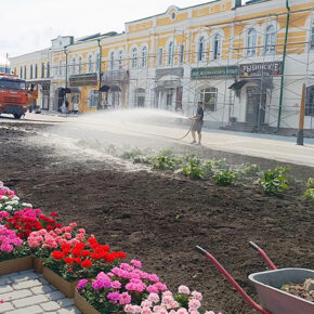соборная цветы