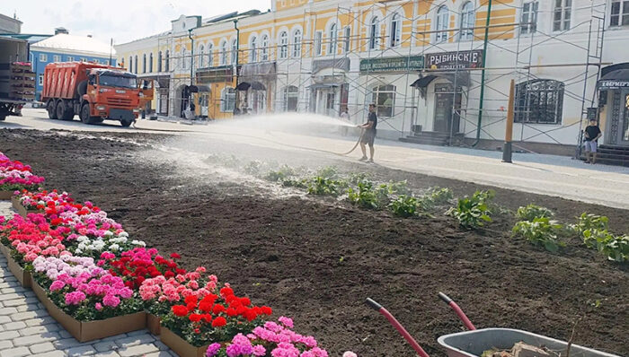 соборная цветы