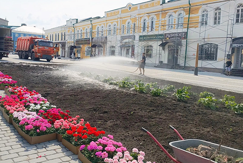соборная цветы