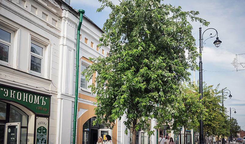зелен центр