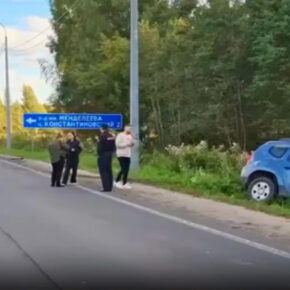 дтп яр рыб