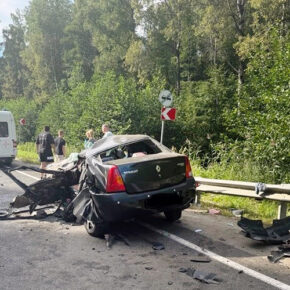 дтп пачеболка
