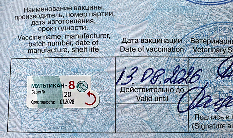 мультикан