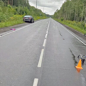 велосипед дтп
