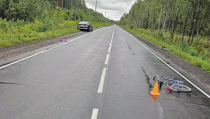 велосипед дтп