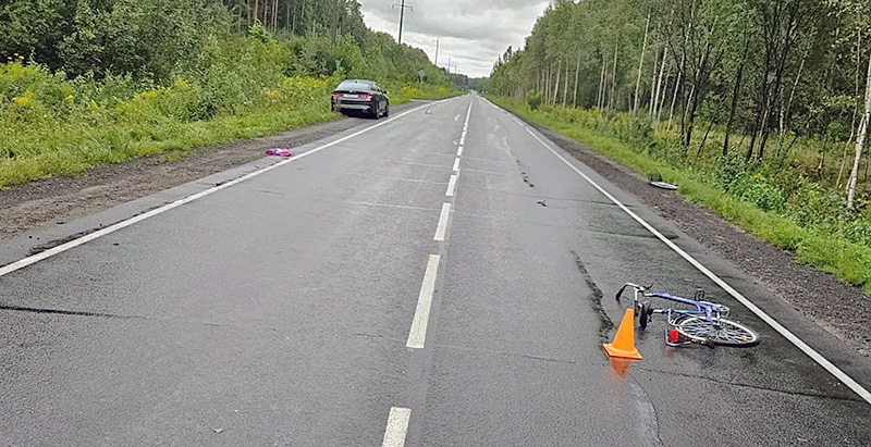велосипед дтп