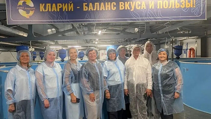 ярославский бройлер