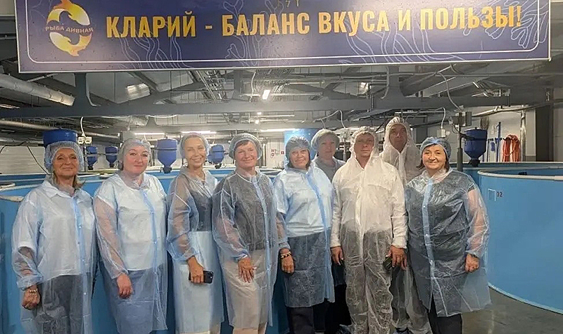 ярославский бройлер