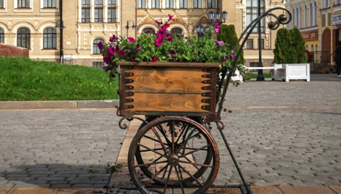 цветы