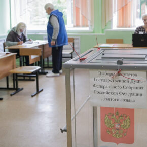 выборы