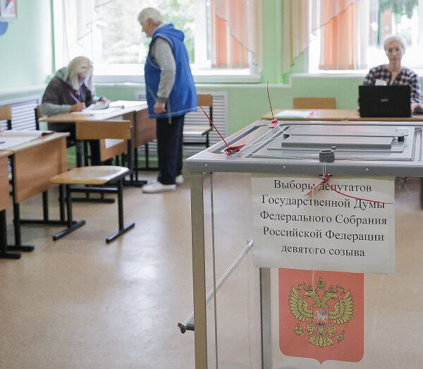 выборы