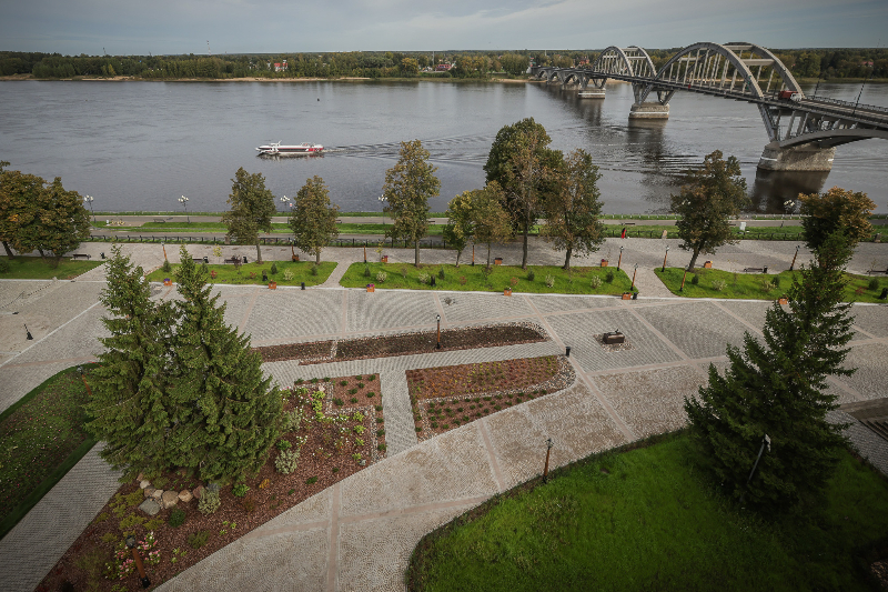 зелень