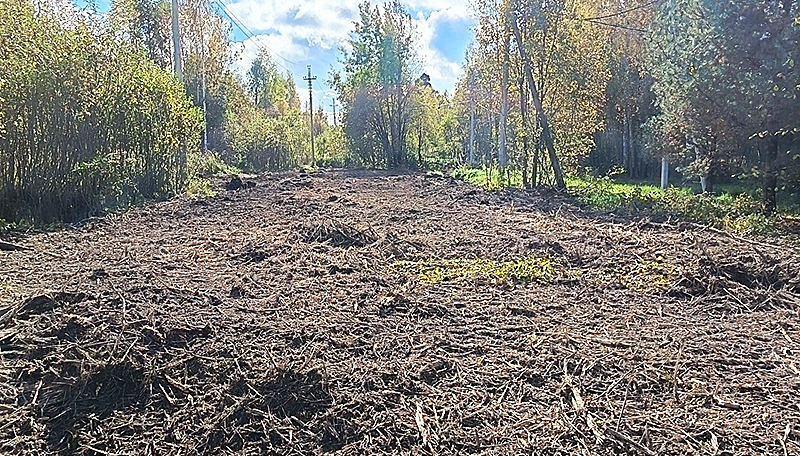 весьегонская1