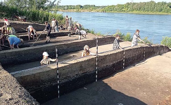 Вид на раскоп с юго-запада