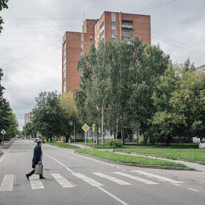 зебра центр