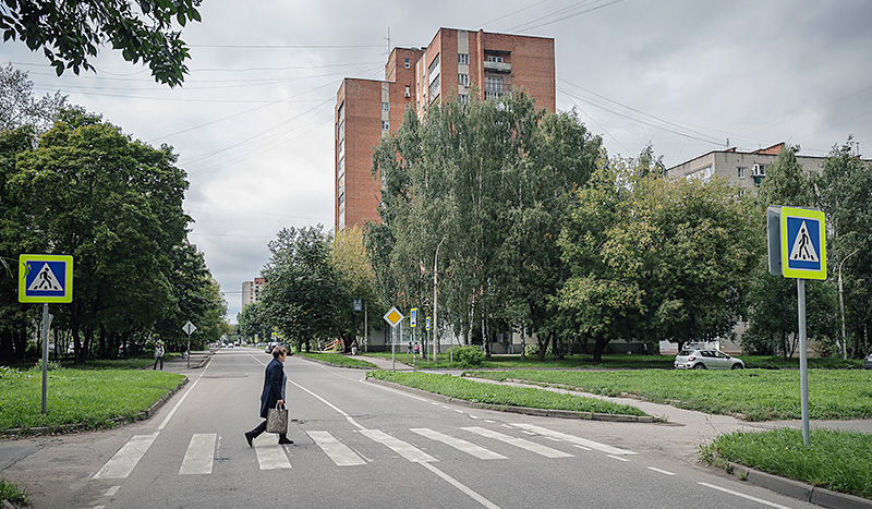 зебра центр