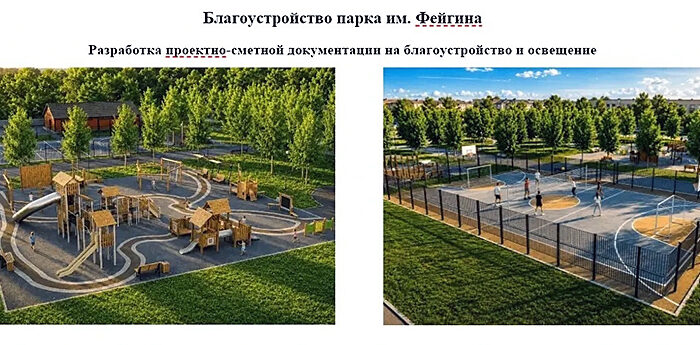 фейгина проект парка